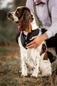 Marriage Dogs