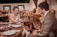 Marriage Dogs