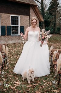 Marriage Dogs